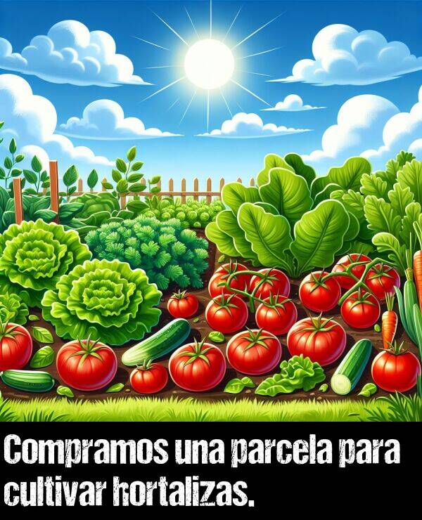 cultivar: Compramos una parcela para cultivar hortalizas.