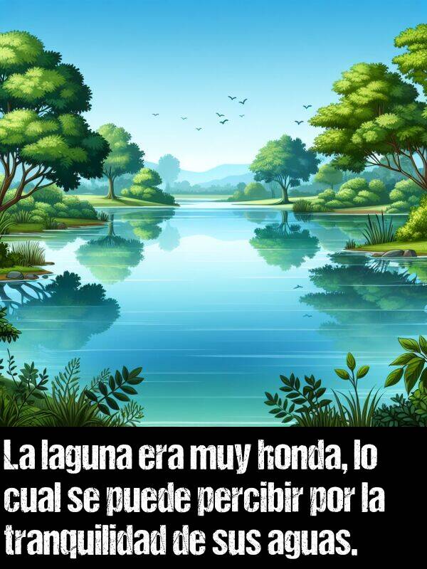 laguna: La laguna era muy honda, lo cual se puede percibir por la tranquilidad de sus aguas.