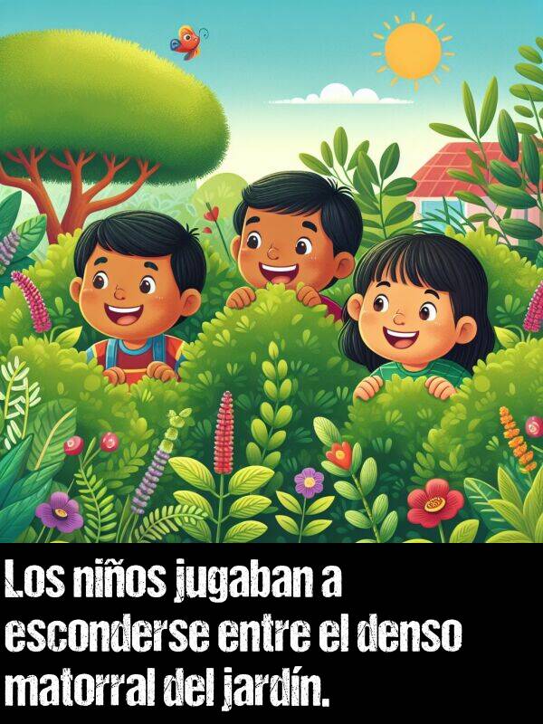 jardn: Los nios jugaban a esconderse entre el denso matorral del jardn.