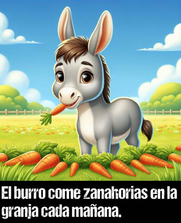 zanahorias: El burro come zanahorias en la granja cada maana.
