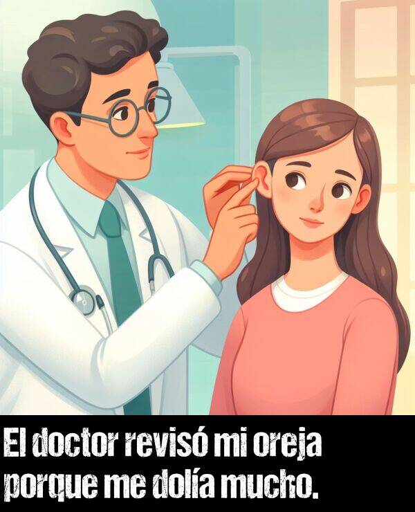 dola: El doctor revis mi oreja porque me dola mucho.