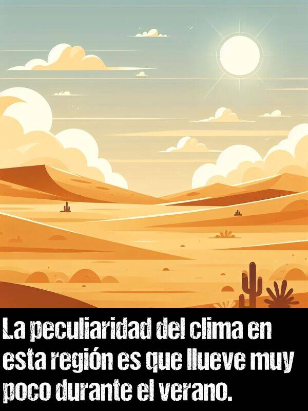 peculiaridad: La peculiaridad del clima en esta regin es que llueve muy poco durante el verano.
