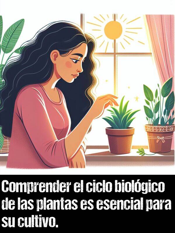 ciclo: Comprender el ciclo biolgico de las plantas es esencial para su cultivo.
