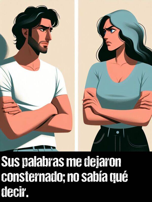 qu: Sus palabras me dejaron consternado; no saba qu decir.