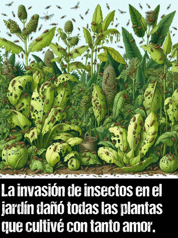 cultiv: La invasin de insectos en el jardn da todas las plantas que cultiv con tanto amor.