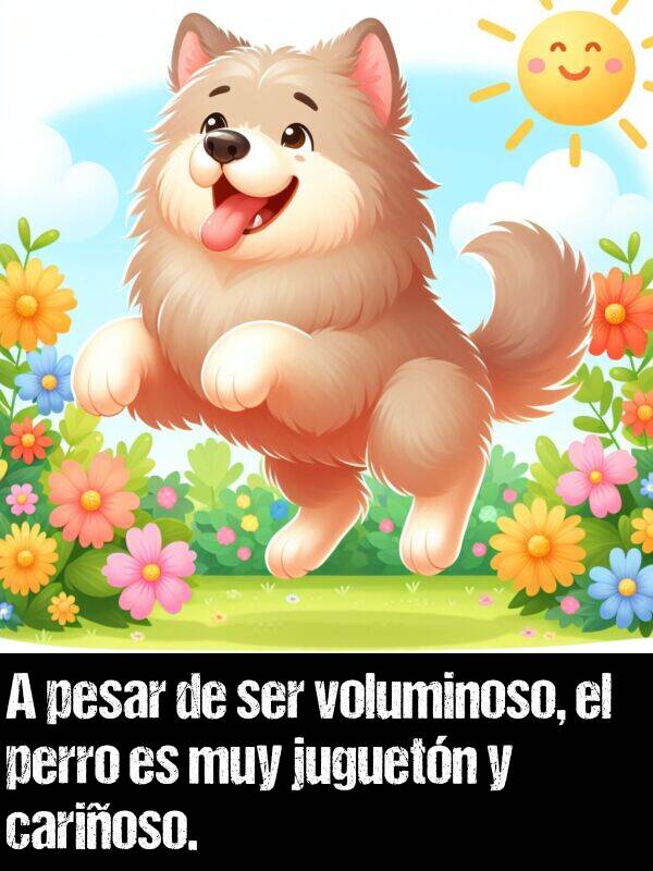 voluminoso: A pesar de ser voluminoso, el perro es muy juguetn y carioso.