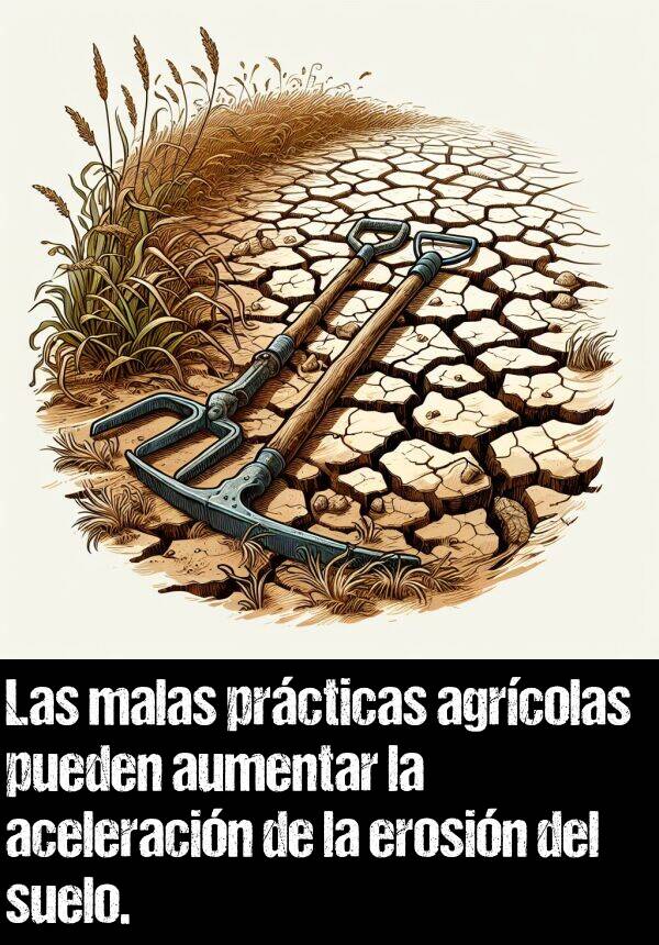 aceleracin: Las malas prcticas agrcolas pueden aumentar la aceleracin de la erosin del suelo.