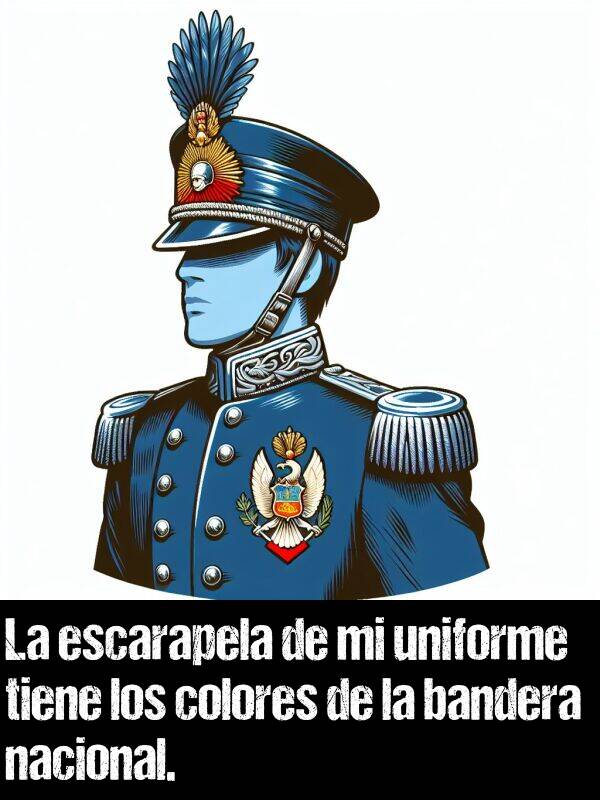 uniforme: La escarapela de mi uniforme tiene los colores de la bandera nacional.