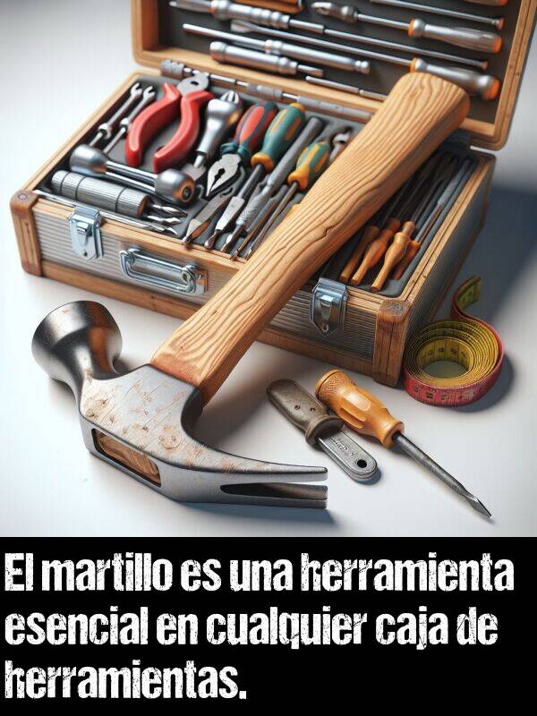caja: El martillo es una herramienta esencial en cualquier caja de herramientas.