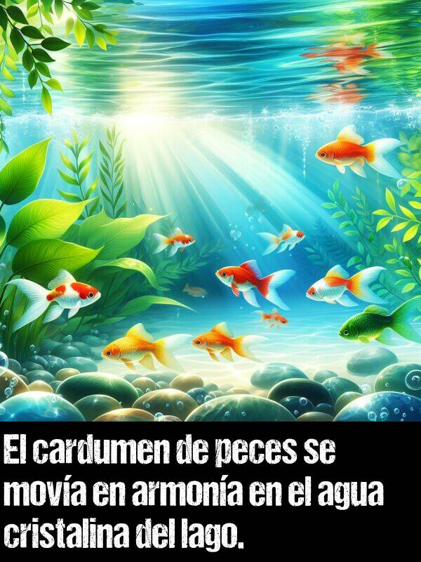 peces: El cardumen de peces se mova en armona en el agua cristalina del lago.