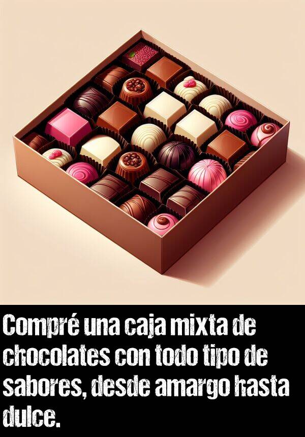 caja: Compr una caja mixta de chocolates con todo tipo de sabores, desde amargo hasta dulce.