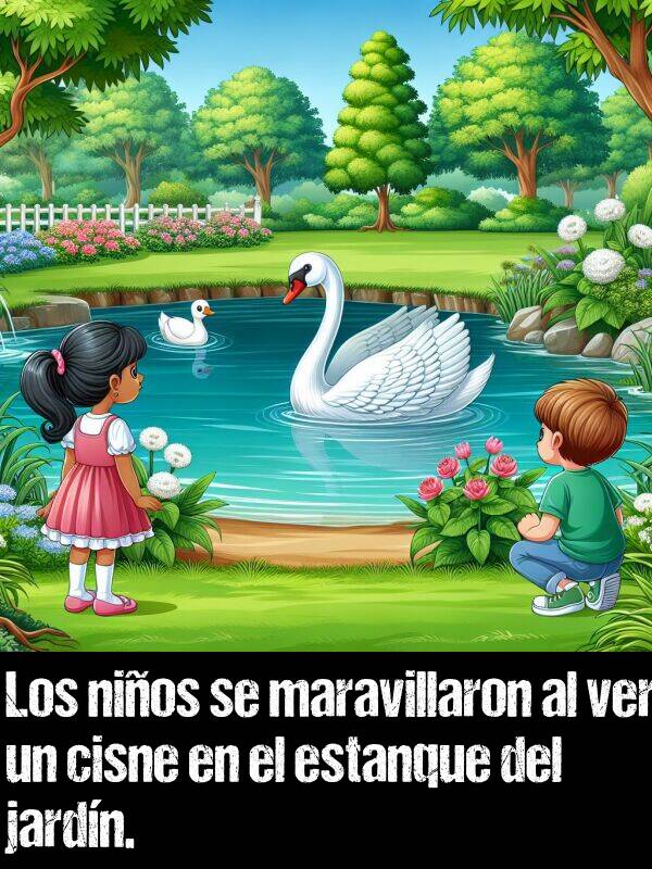 cisne: Los nios se maravillaron al ver un cisne en el estanque del jardn.