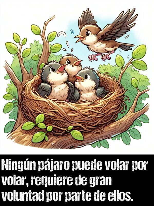 voluntad: Ningn pjaro puede volar por volar, requiere de gran voluntad por parte de ellos.