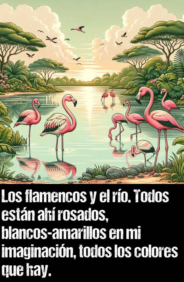 imaginacin: Los flamencos y el ro. Todos estn ah rosados, blancos-amarillos en mi imaginacin, todos los colores que hay.