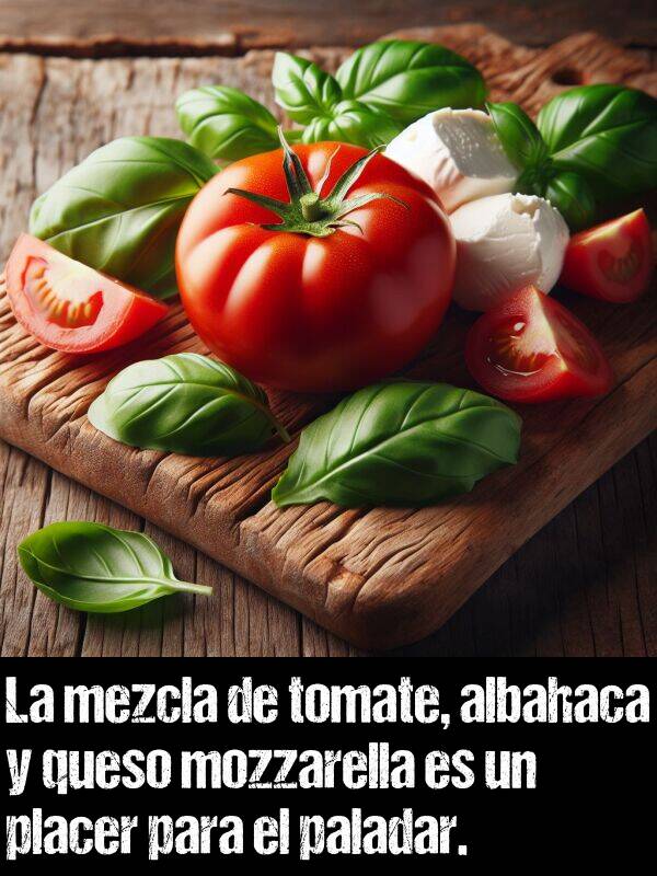 tomate: La mezcla de tomate, albahaca y queso mozzarella es un placer para el paladar.