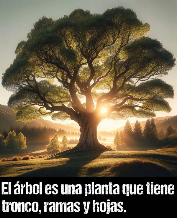 tronco: El rbol es una planta que tiene tronco, ramas y hojas.