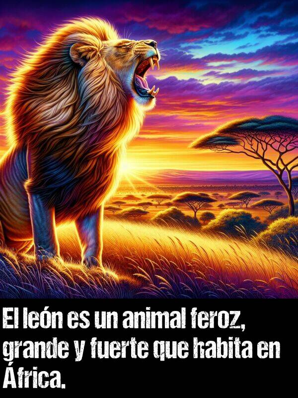 feroz: El len es un animal feroz, grande y fuerte que habita en frica.