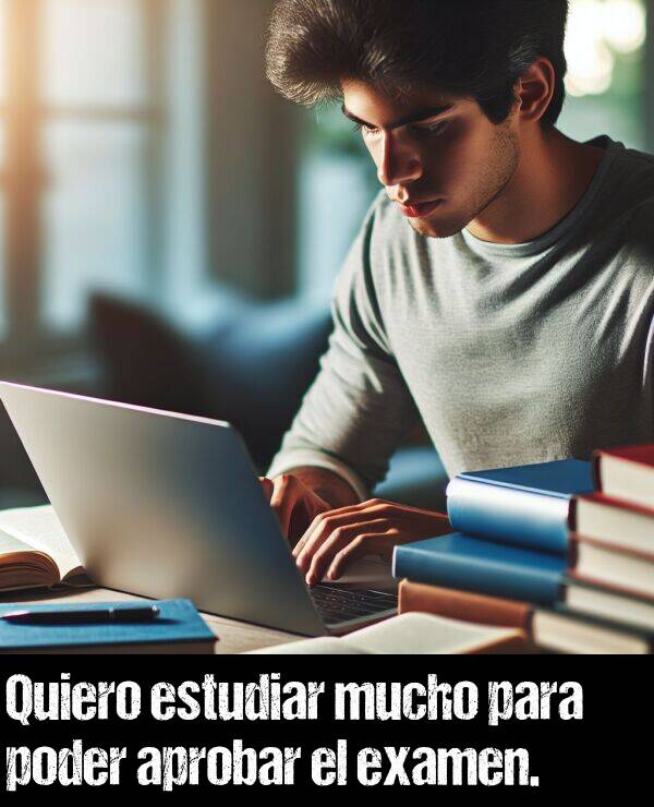 aprobar: Quiero estudiar mucho para poder aprobar el examen.