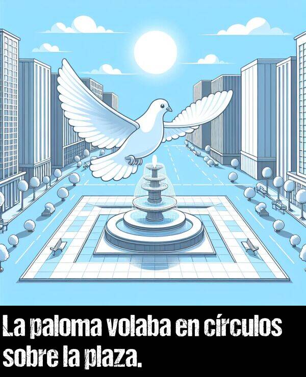 volaba: La paloma volaba en crculos sobre la plaza.