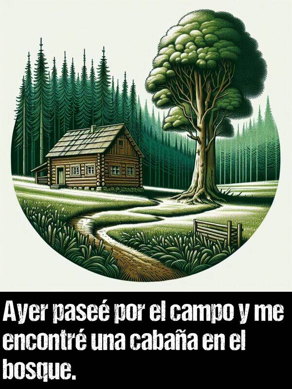 pase: Ayer pase por el campo y me encontr una cabaa en el bosque.