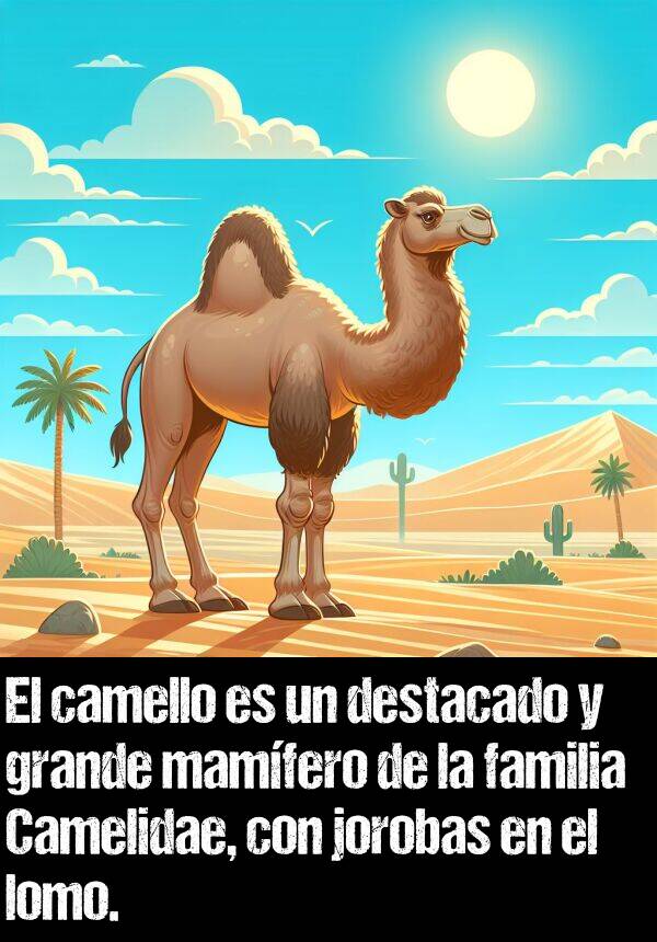 camello: El camello es un destacado y grande mamfero de la familia Camelidae, con jorobas en el lomo.