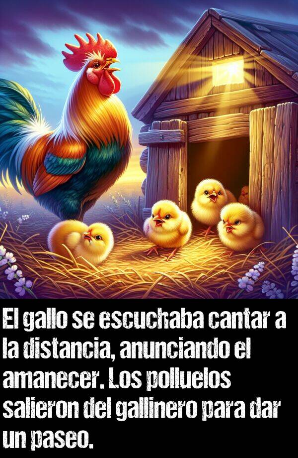 polluelos: El gallo se escuchaba cantar a la distancia, anunciando el amanecer. Los polluelos salieron del gallinero para dar un paseo.