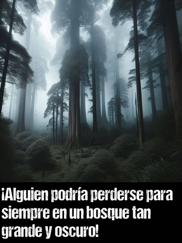 perderse: Alguien podra perderse para siempre en un bosque tan grande y oscuro!