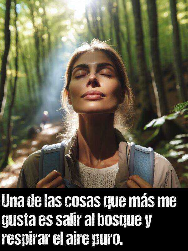 puro: Una de las cosas que ms me gusta es salir al bosque y respirar el aire puro.