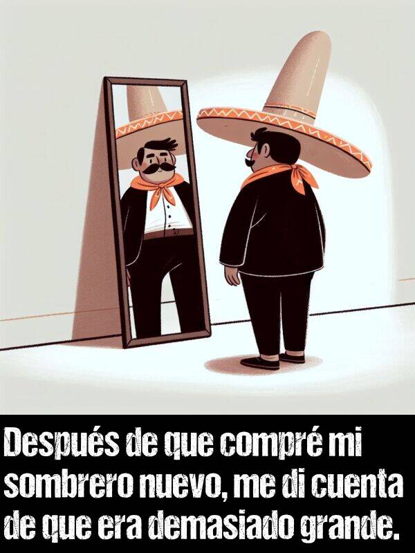 nuevo: Despus de que compr mi sombrero nuevo, me di cuenta de que era demasiado grande.