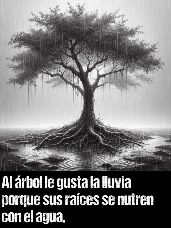 nutren: Al rbol le gusta la lluvia porque sus races se nutren con el agua.