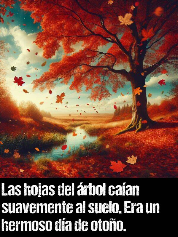 caan: Las hojas del rbol caan suavemente al suelo. Era un hermoso da de otoo.