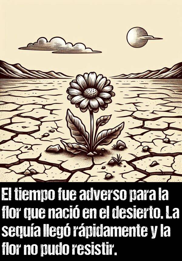 sequa: El tiempo fue adverso para la flor que naci en el desierto. La sequa lleg rpidamente y la flor no pudo resistir.