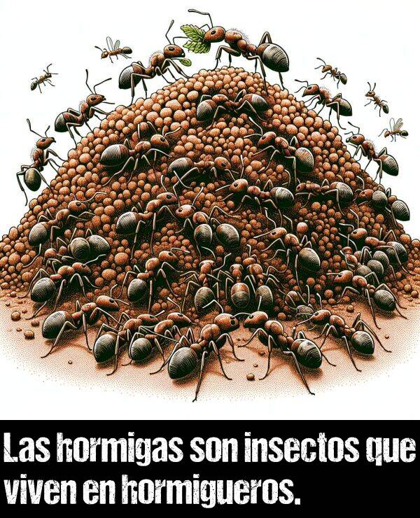 hormigas: Las hormigas son insectos que viven en hormigueros.