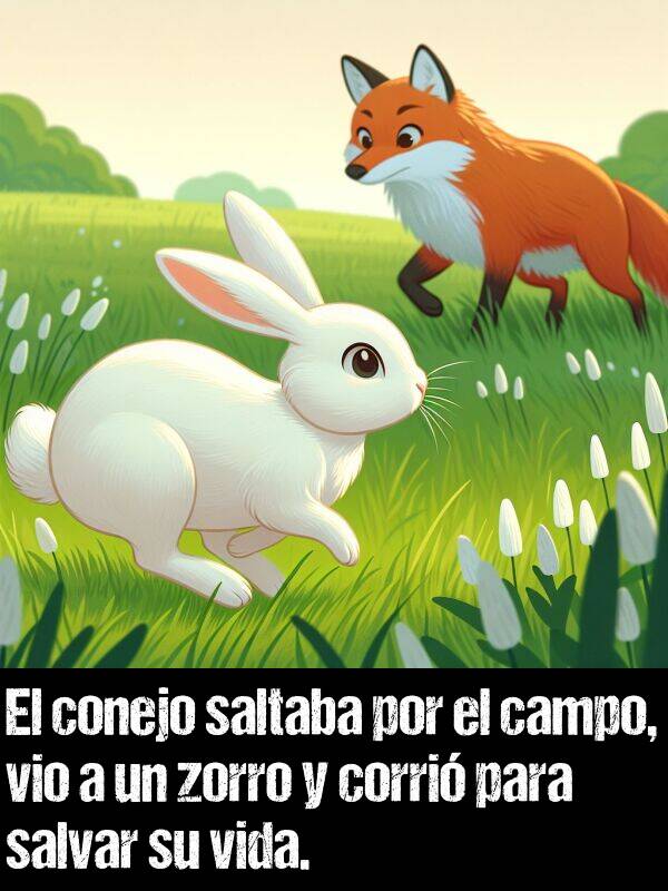 conejo: El conejo saltaba por el campo, vio a un zorro y corri para salvar su vida.