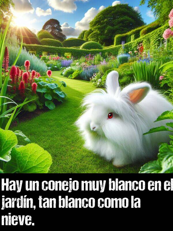 conejo: Hay un conejo muy blanco en el jardn, tan blanco como la nieve.