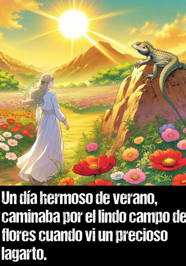 lagarto: Un da hermoso de verano, caminaba por el lindo campo de flores cuando vi un precioso lagarto.