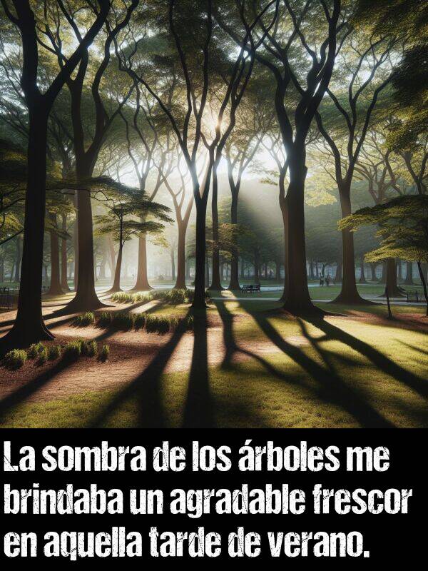frescor: La sombra de los rboles me brindaba un agradable frescor en aquella tarde de verano.