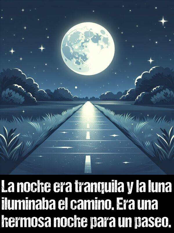 iluminaba: La noche era tranquila y la luna iluminaba el camino. Era una hermosa noche para un paseo.