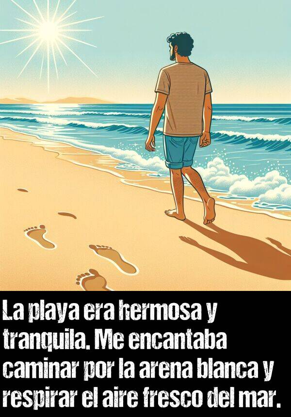 fresco: La playa era hermosa y tranquila. Me encantaba caminar por la arena blanca y respirar el aire fresco del mar.