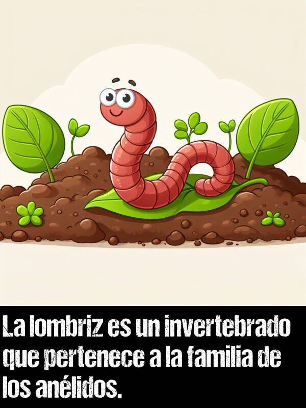 anlidos: La lombriz es un invertebrado que pertenece a la familia de los anlidos.