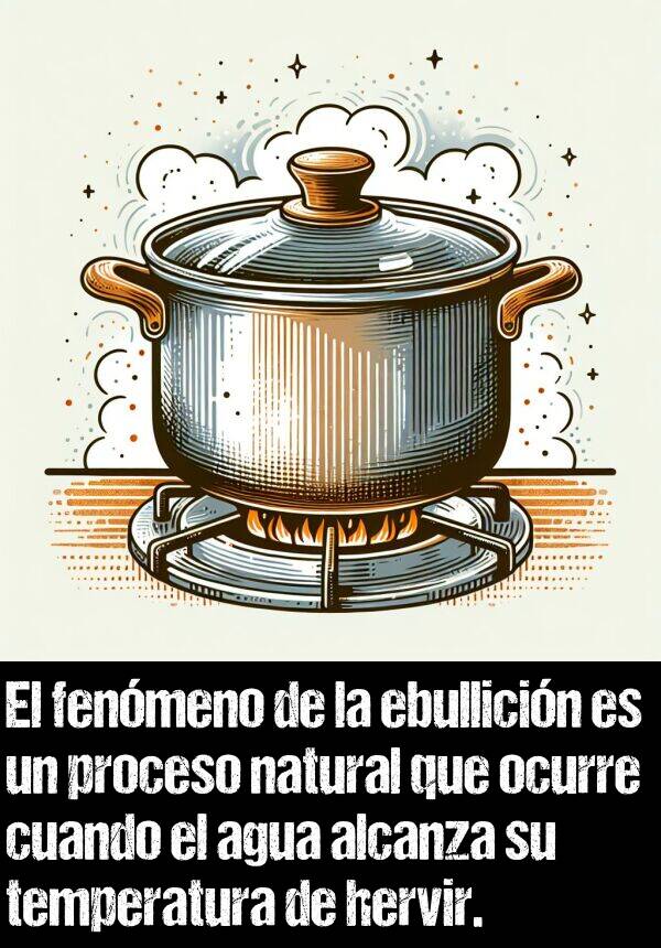 ebullicin: El fenmeno de la ebullicin es un proceso natural que ocurre cuando el agua alcanza su temperatura de hervir.