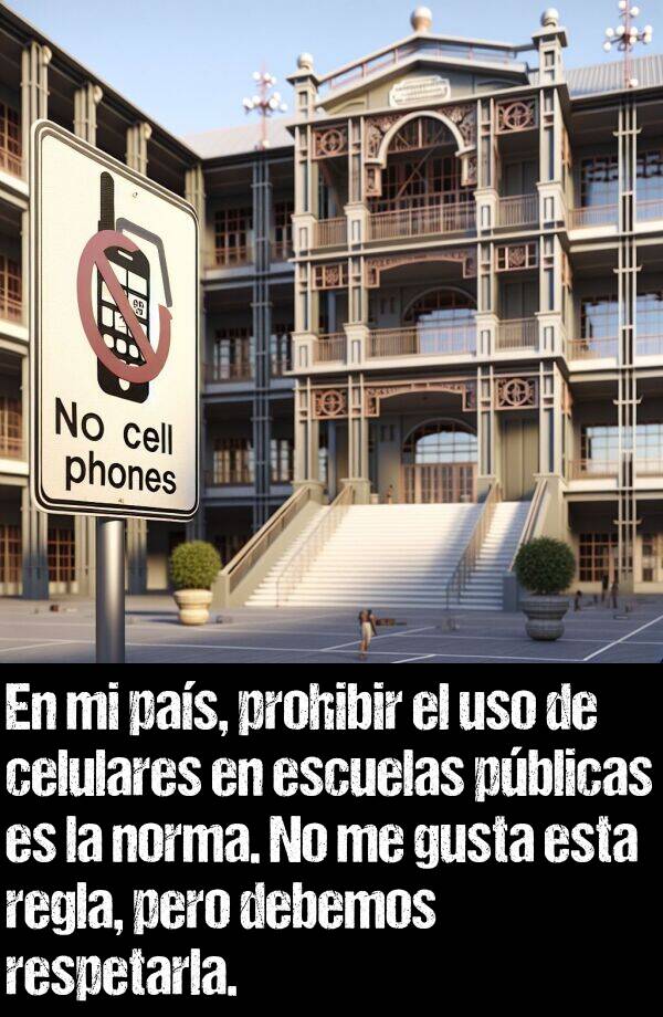 norma: En mi pas, prohibir el uso de celulares en escuelas pblicas es la norma. No me gusta esta regla, pero debemos respetarla.