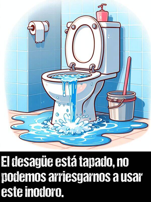 tapado: El desage est tapado, no podemos arriesgarnos a usar este inodoro.