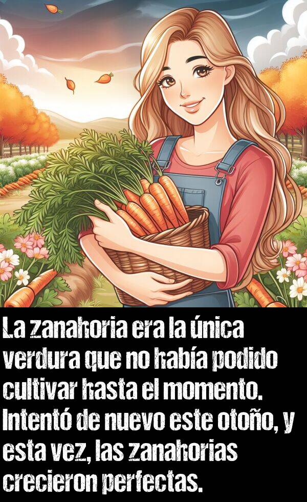 verdura: La zanahoria era la nica verdura que no haba podido cultivar hasta el momento. Intent de nuevo este otoo, y esta vez, las zanahorias crecieron perfectas.
