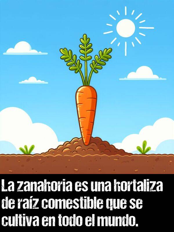 hortaliza: La zanahoria es una hortaliza de raz comestible que se cultiva en todo el mundo.