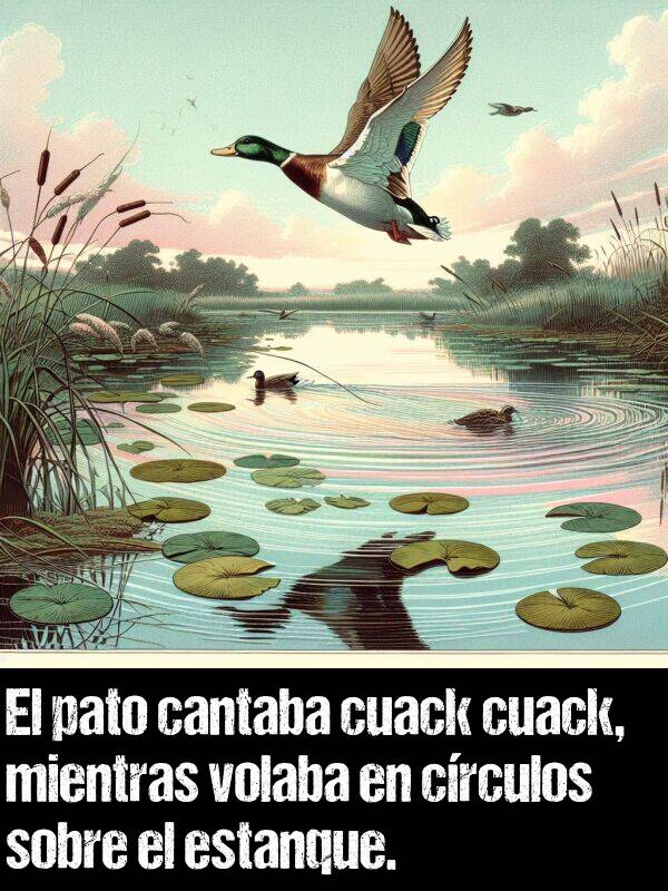 sobre: El pato cantaba cuack cuack, mientras volaba en crculos sobre el estanque.