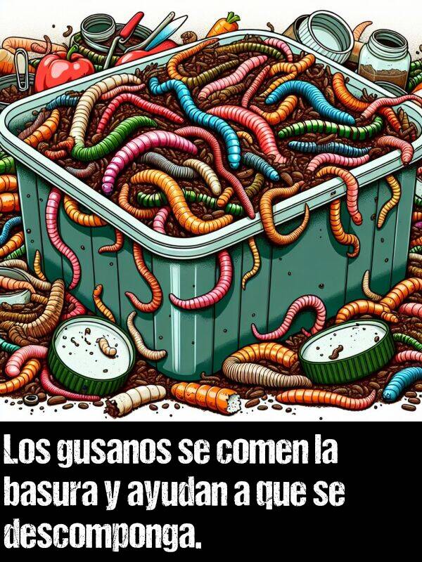 basura: Los gusanos se comen la basura y ayudan a que se descomponga.