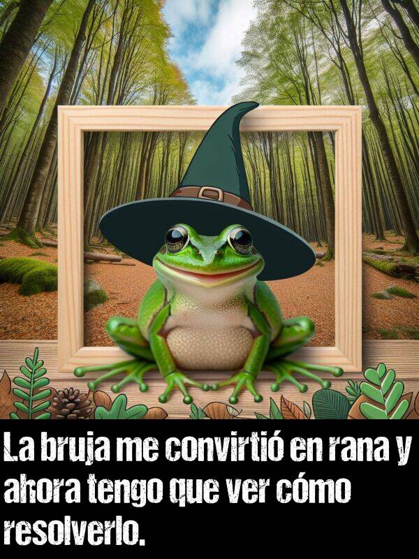 bruja: La bruja me convirti en rana y ahora tengo que ver cmo resolverlo.