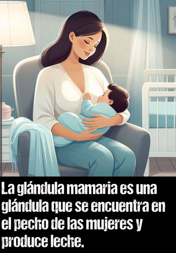 pecho: La glndula mamaria es una glndula que se encuentra en el pecho de las mujeres y produce leche.