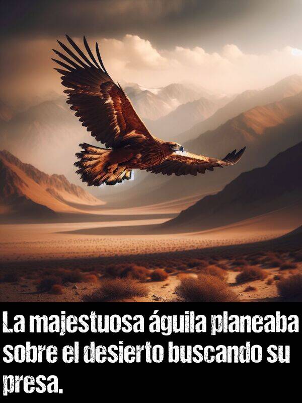 planeaba: La majestuosa guila planeaba sobre el desierto buscando su presa.